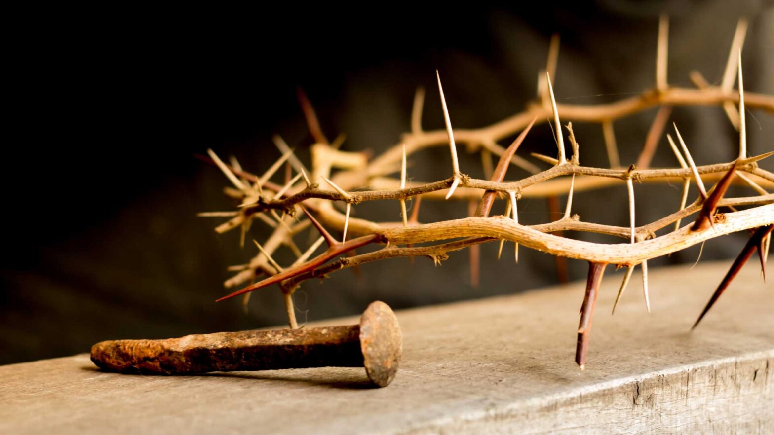 All who desire to live a godly life in Christ Jesus will be persecuted