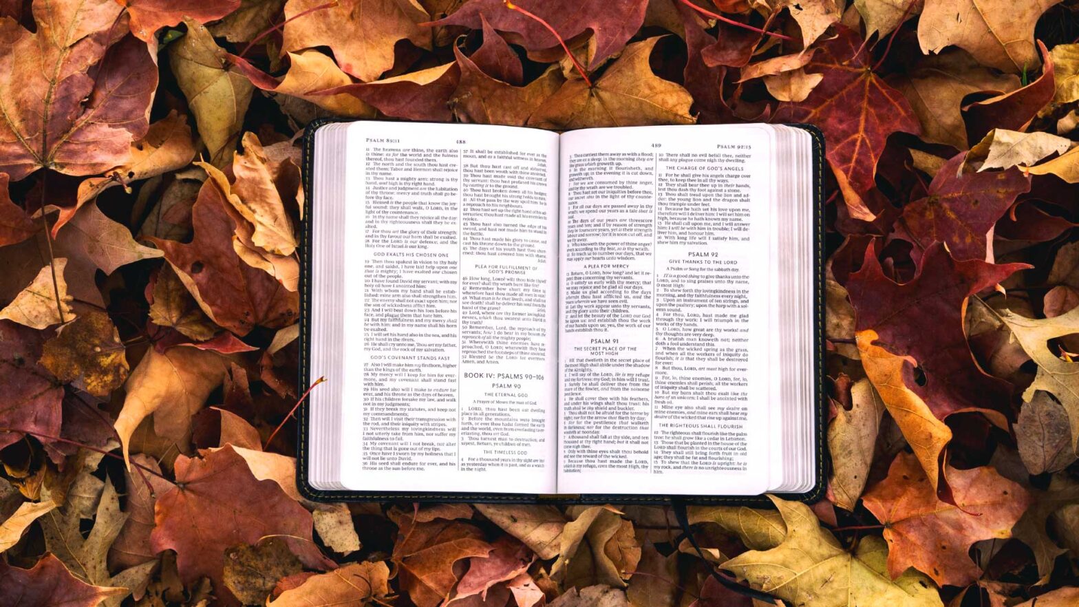 If you are insulted for the name of Christ, you are blessed | 1 Peter