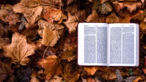 1 Peter 4 | Suffering for the love of Christ