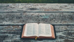 2 Timothy | Holy Life in Christ Jesus