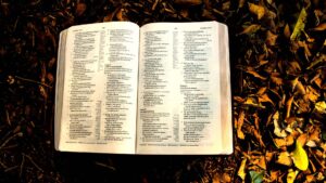 Bible Persecution Verses | Scripture about the Persecution